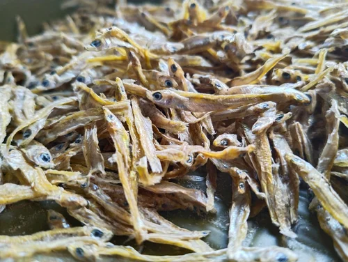 Fish Meal