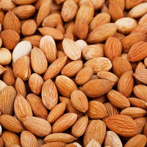Apricot Kernel