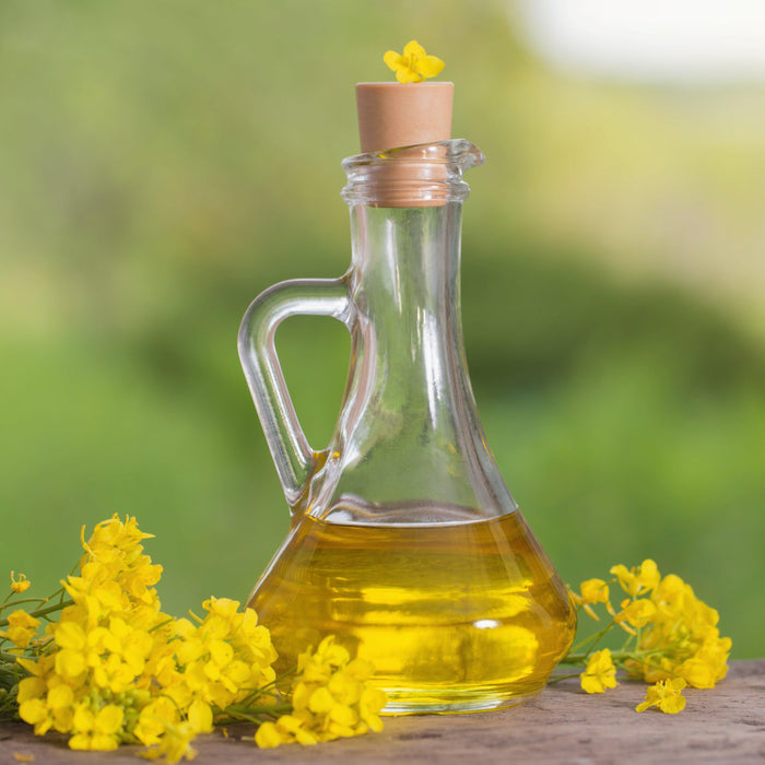 Canola Oil