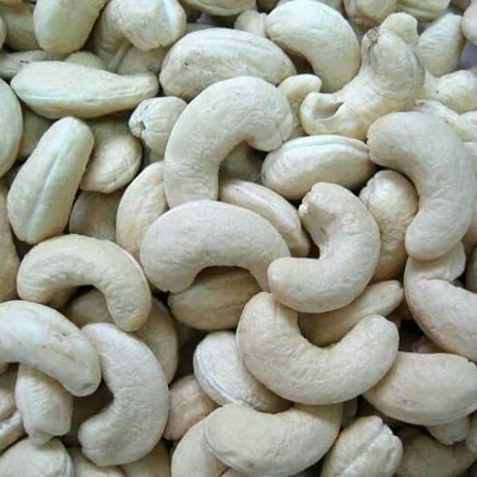 Cashew