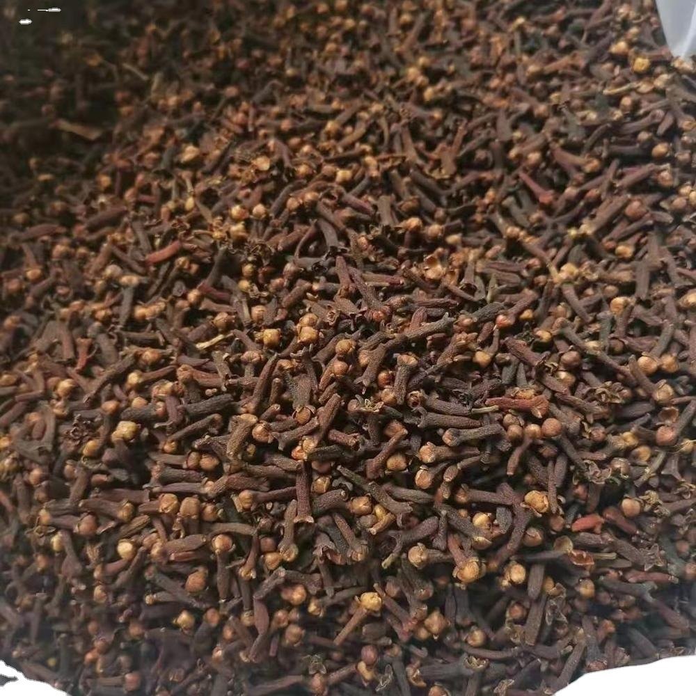 Clove