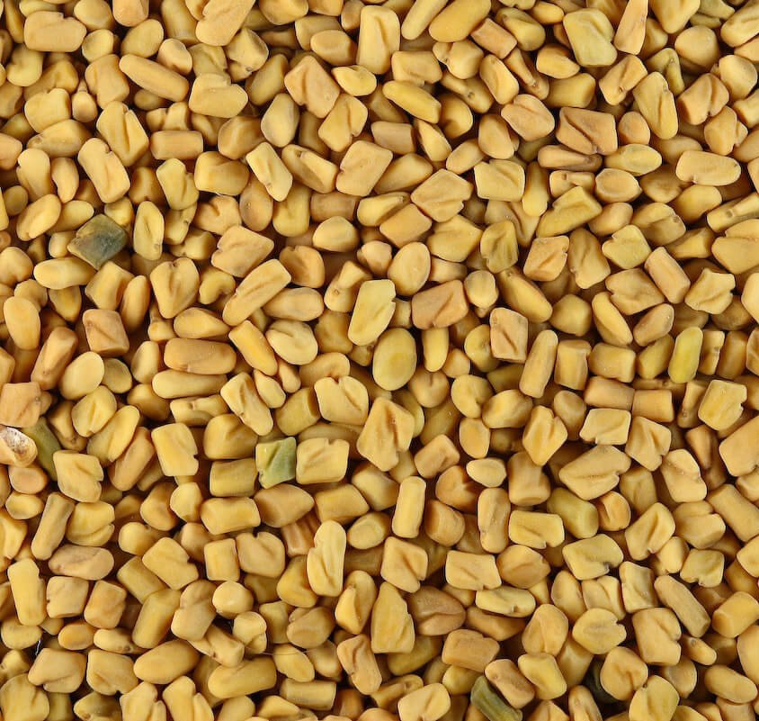 Fenugreek Seed