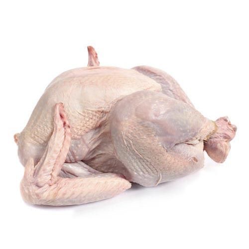 Fresh Turkey Meat