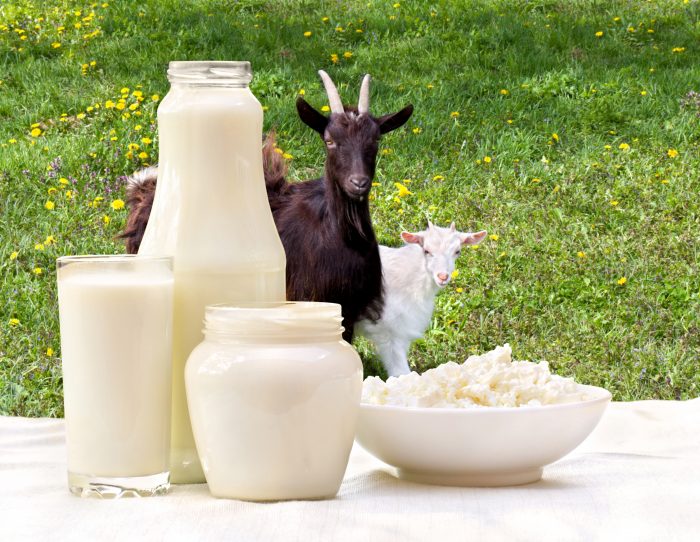 Goat Milk