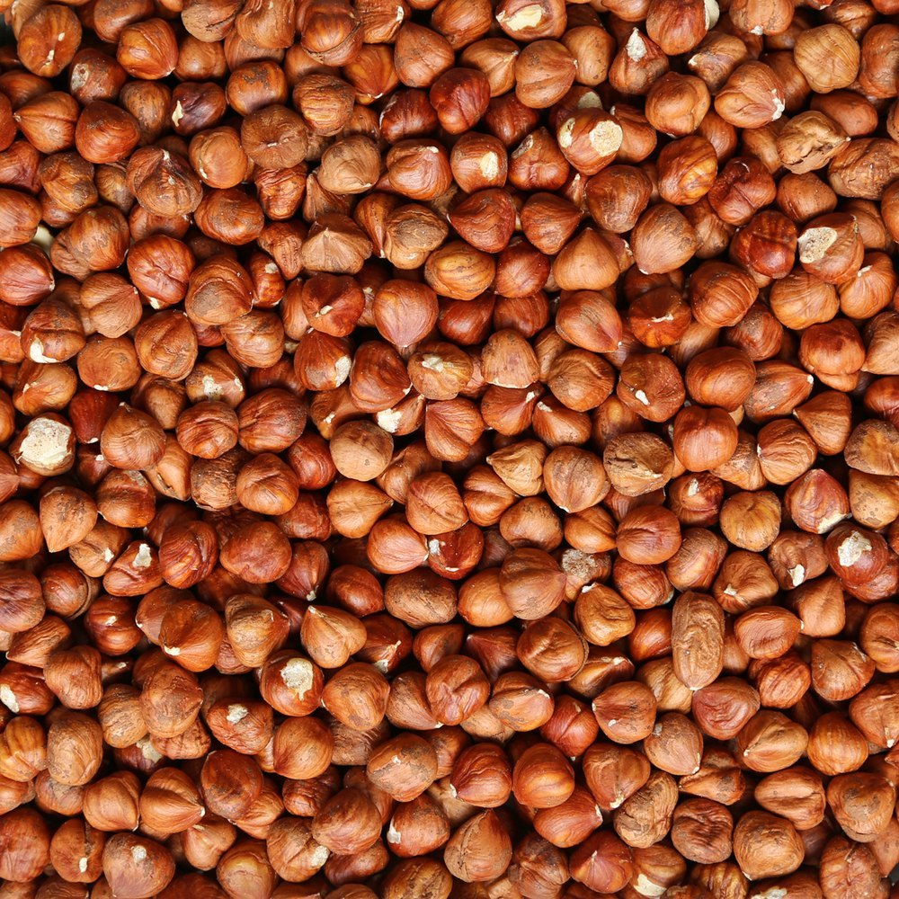 Hazelnut