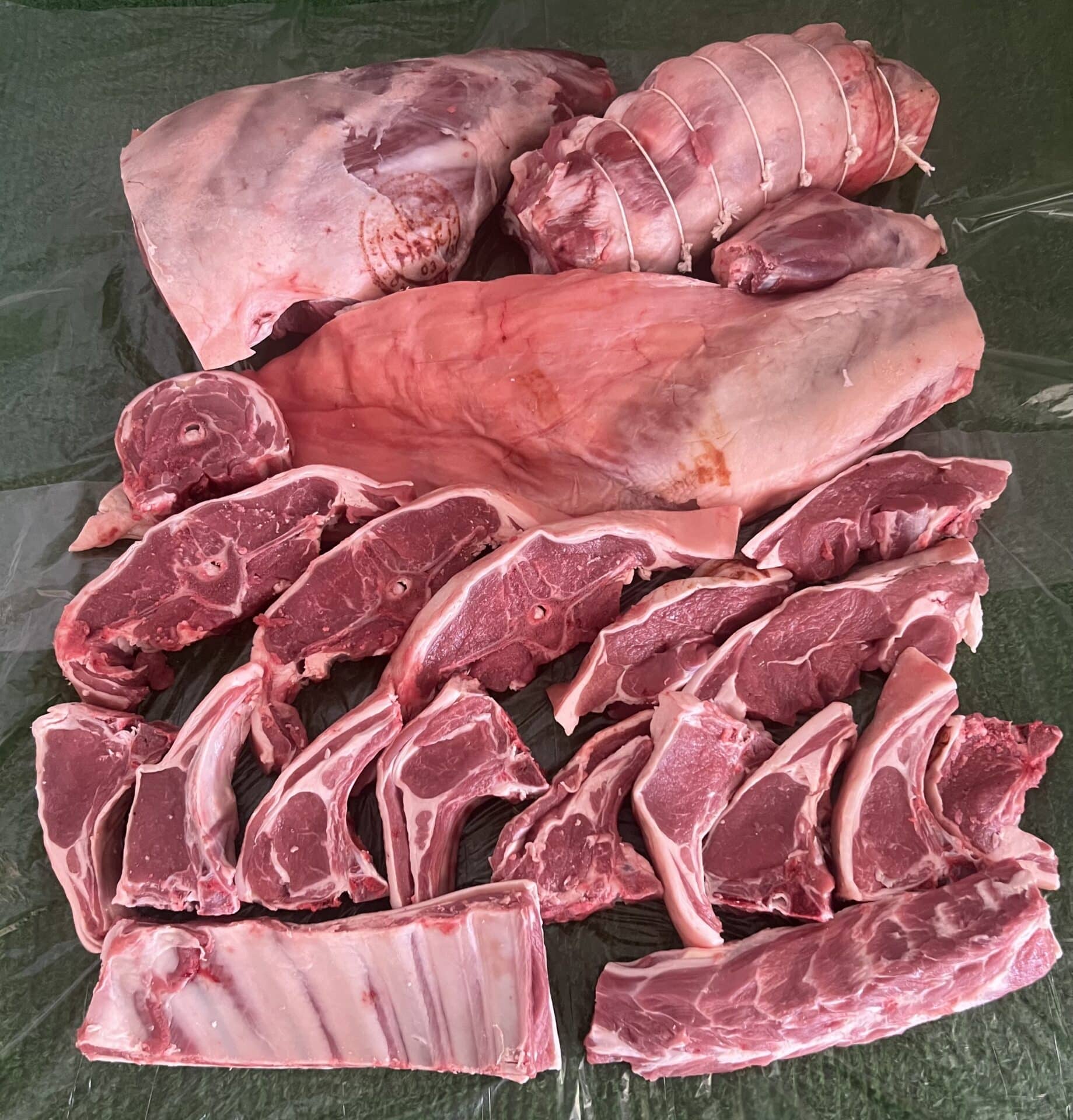 Lamb