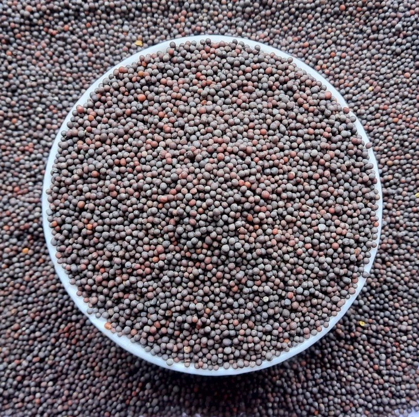 Mustard Seed