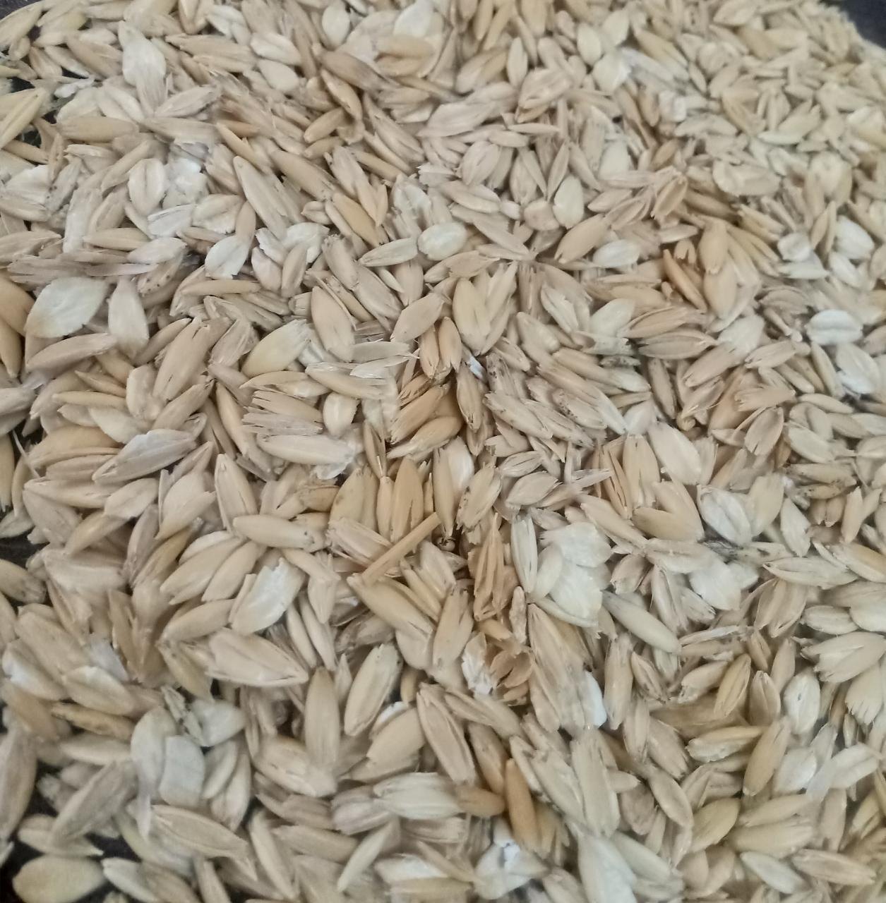Oats