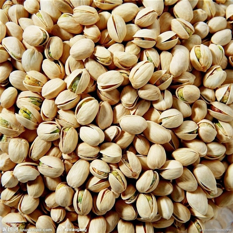 Pistachio