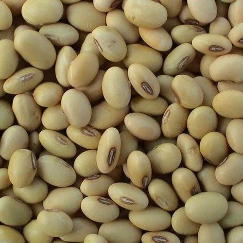 Soybean