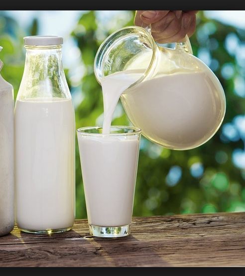 Milk